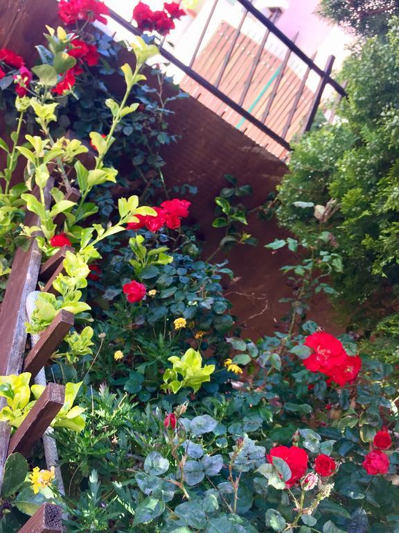 B&B Limone San Leone Exterior photo